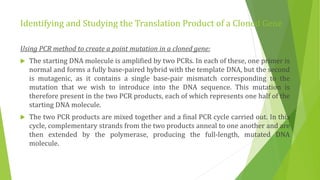 Studying gene expression and function | PPTX
