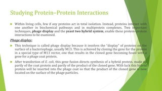Studying gene expression and function | PPTX