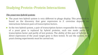 Studying gene expression and function | PPTX