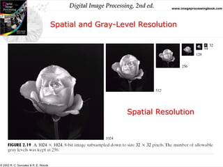 Digital Image Processing, 2nd ed. www.imageprocessingbook.com
© 2002 R. C. Gonzalez & R. E. Woods
Spatial and Gray-Level Resolution
Spatial Resolution
 