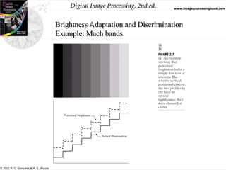 Digital Image Processing, 2nd ed. www.imageprocessingbook.com
© 2002 R. C. Gonzalez & R. E. Woods
Brightness Adaptation and Discrimination
Example: Mach bands
 
