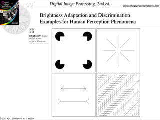 Digital Image Processing, 2nd ed. www.imageprocessingbook.com
© 2002 R. C. Gonzalez & R. E. Woods
Brightness Adaptation and Discrimination
Examples for Human Perception Phenomena
 