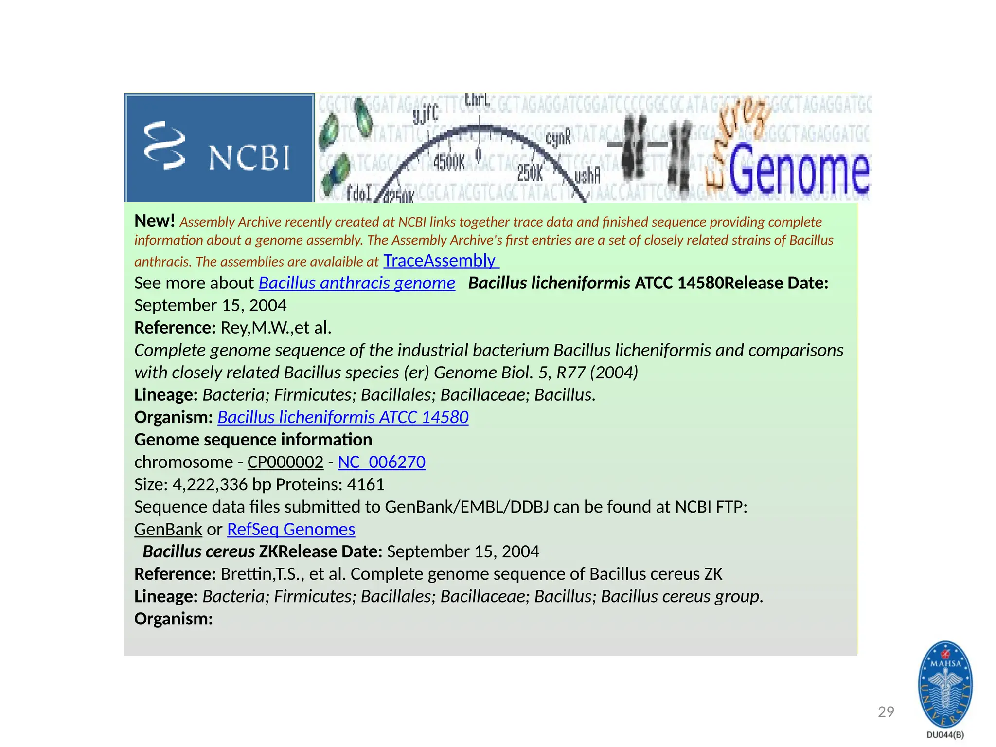 29
New! Assembly Archive recently created at NCBI links together trace data and finished sequence providing complete
information about a genome assembly. The Assembly Archive's first entries are a set of closely related strains of Bacillus
anthracis. The assemblies are avalaible at TraceAssembly
See more about Bacillus anthracis genome Bacillus licheniformis ATCC 14580Release Date:
September 15, 2004
Reference: Rey,M.W.,et al.
Complete genome sequence of the industrial bacterium Bacillus licheniformis and comparisons
with closely related Bacillus species (er) Genome Biol. 5, R77 (2004)
Lineage: Bacteria; Firmicutes; Bacillales; Bacillaceae; Bacillus.
Organism: Bacillus licheniformis ATCC 14580
Genome sequence information
chromosome - CP000002 - NC_006270
Size: 4,222,336 bp Proteins: 4161
Sequence data files submitted to GenBank/EMBL/DDBJ can be found at NCBI FTP:
GenBank or RefSeq Genomes
Bacillus cereus ZKRelease Date: September 15, 2004
Reference: Brettin,T.S., et al. Complete genome sequence of Bacillus cereus ZK
Lineage: Bacteria; Firmicutes; Bacillales; Bacillaceae; Bacillus; Bacillus cereus group.
Organism:
 