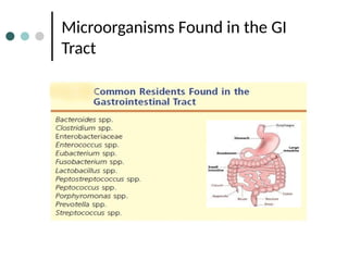 Microorganisms Found in the GI
Tract
 