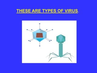 THESE ARE TYPES OF VIRUS.
 