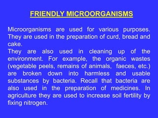 FRIENDLY MICROORGANISMS
Microorganisms are used for various purposes.
They are used in the preparation of curd, bread and
cake.
They are also used in cleaning up of the
environment. For example, the organic wastes
(vegetable peels, remains of animals, faeces, etc.)
are broken down into harmless and usable
substances by bacteria. Recall that bacteria are
also used in the preparation of medicines. In
agriculture they are used to increase soil fertility by
fixing nitrogen.
 