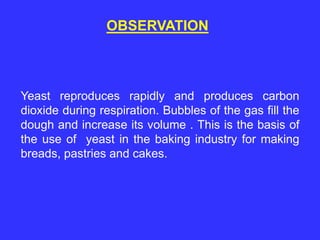 Yeast reproduces rapidly and produces carbon
dioxide during respiration. Bubbles of the gas fill the
dough and increase its volume . This is the basis of
the use of yeast in the baking industry for making
breads, pastries and cakes.
OBSERVATION
 
