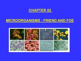 CHAPTER 02
MICROORGANISMS : FRIEND AND FOE
 