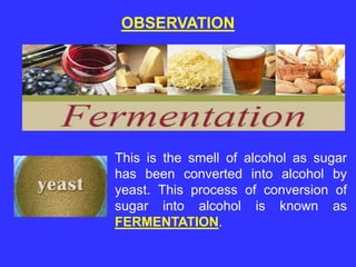 OBSERVATION
This is the smell of alcohol as sugar
has been converted into alcohol by
yeast. This process of conversion of
sugar into alcohol is known as
FERMENTATION.
 