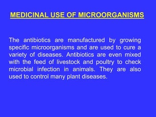 MEDICINAL USE OF MICROORGANISMS
The antibiotics are manufactured by growing
specific microorganisms and are used to cure a
variety of diseases. Antibiotics are even mixed
with the feed of livestock and poultry to check
microbial infection in animals. They are also
used to control many plant diseases.
 