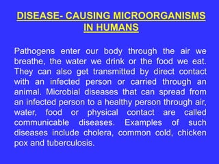 Pathogens enter our body through the air we
breathe, the water we drink or the food we eat.
They can also get transmitted by direct contact
with an infected person or carried through an
animal. Microbial diseases that can spread from
an infected person to a healthy person through air,
water, food or physical contact are called
communicable diseases. Examples of such
diseases include cholera, common cold, chicken
pox and tuberculosis.
DISEASE- CAUSING MICROORGANISMS
IN HUMANS
 
