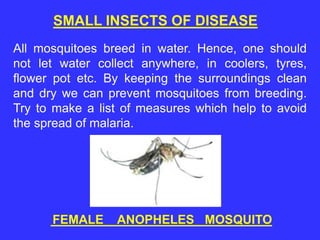 All mosquitoes breed in water. Hence, one should
not let water collect anywhere, in coolers, tyres,
flower pot etc. By keeping the surroundings clean
and dry we can prevent mosquitoes from breeding.
Try to make a list of measures which help to avoid
the spread of malaria.
FEMALE ANOPHELES MOSQUITO
SMALL INSECTS OF DISEASE
 