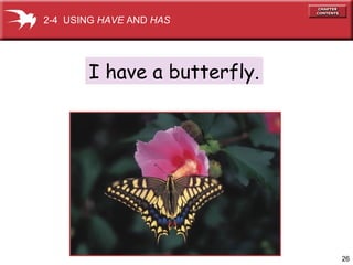 2-4 USING HAVE AND HAS




       I have a butterfly.




                             26
 