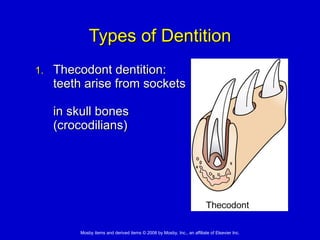 20. Amphibian and Reptilian Anatomy and Physiology | PPT