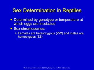 Sex Determination in Reptiles Determined by genotype or temperature at which eggs are incubated Sex chromosomes: Females are heterozygous (ZW) and males are homozygous (ZZ)  