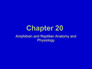 Amphibian and Reptilian Anatomy and Physiology 