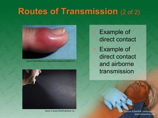 Chapter_02(0).ppt