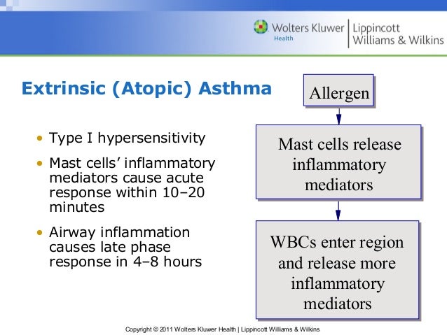 inflammatory mediators of asthma health essay Asthma is a chronic inflammatory disorder of the airways they in turn induce the production of mediators of inflammation (such as histamine and leukotrienes) and cytokines what constitutes an adverse health effect of air pollution. inflammatory mediators of asthma health essay Asthma is a chronic inflammatory disorder of the airways they in turn induce the production of mediators of inflammation (such as histamine and leukotrienes) and cytokines what constitutes an adverse health effect of air pollution.