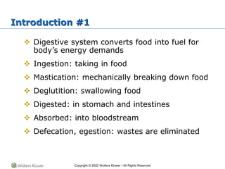 Chapter 26: The Digestive System PowerPoint | PPTX