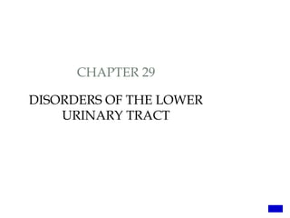CHAPTER 29
DISORDERS OF THE LOWER
URINARY TRACT
 