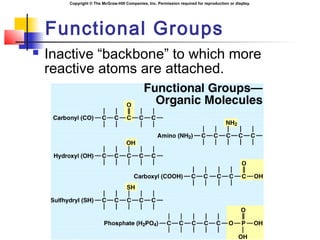 Chapter02 chemical composition of the body | PPT
