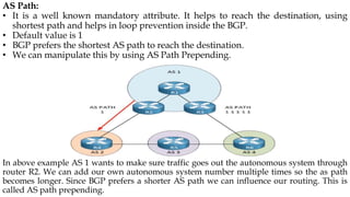 Ip Rooting Loop IP Routing.pptx
