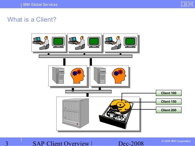 Chapter 02 sap client overview