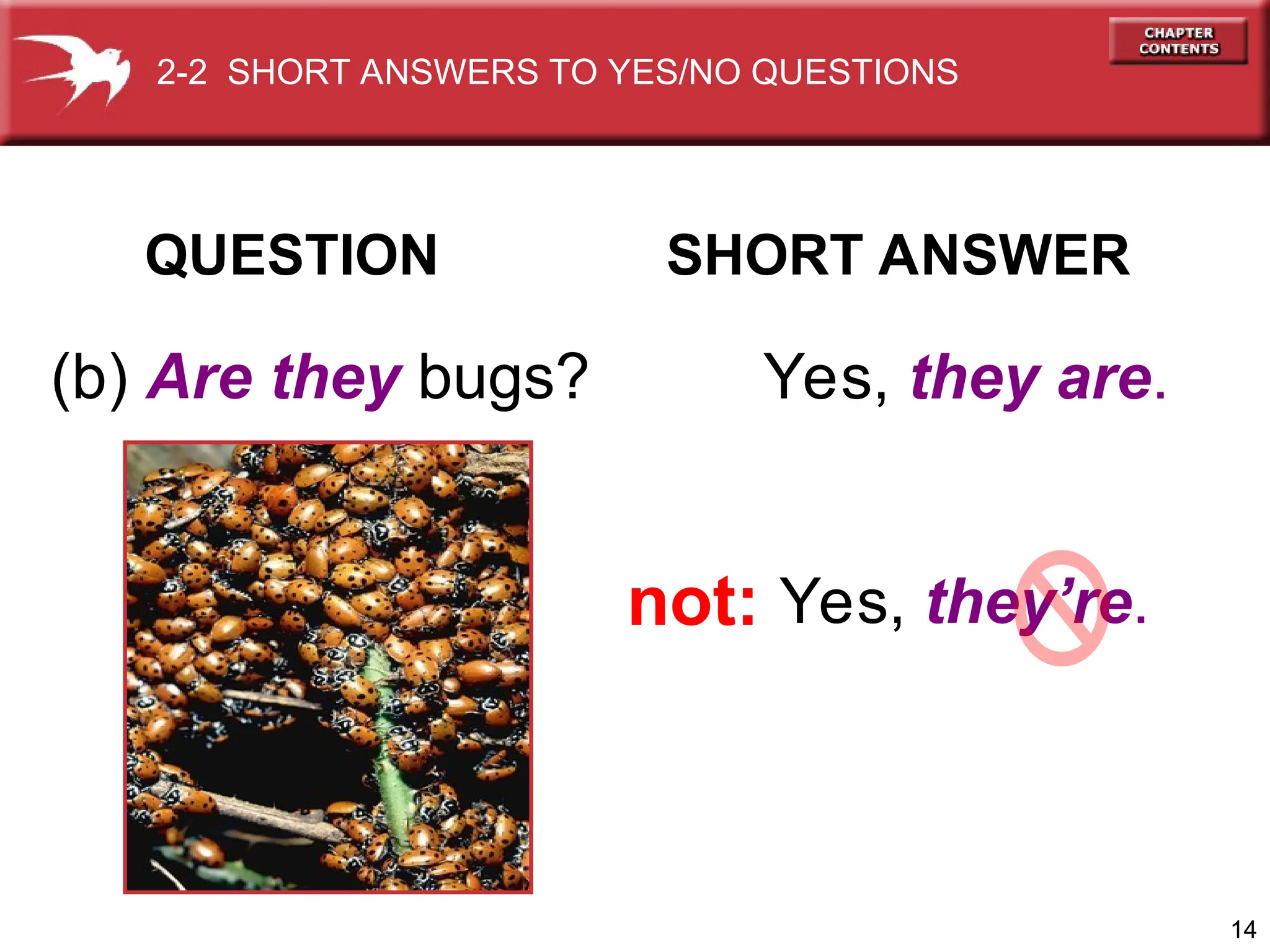 14
QUESTION SHORT ANSWER
(b) Are they bugs? Yes, they are.
Yes, they’re.
not:
2-2 SHORT ANSWERS TO YES/NO QUESTIONS
 
