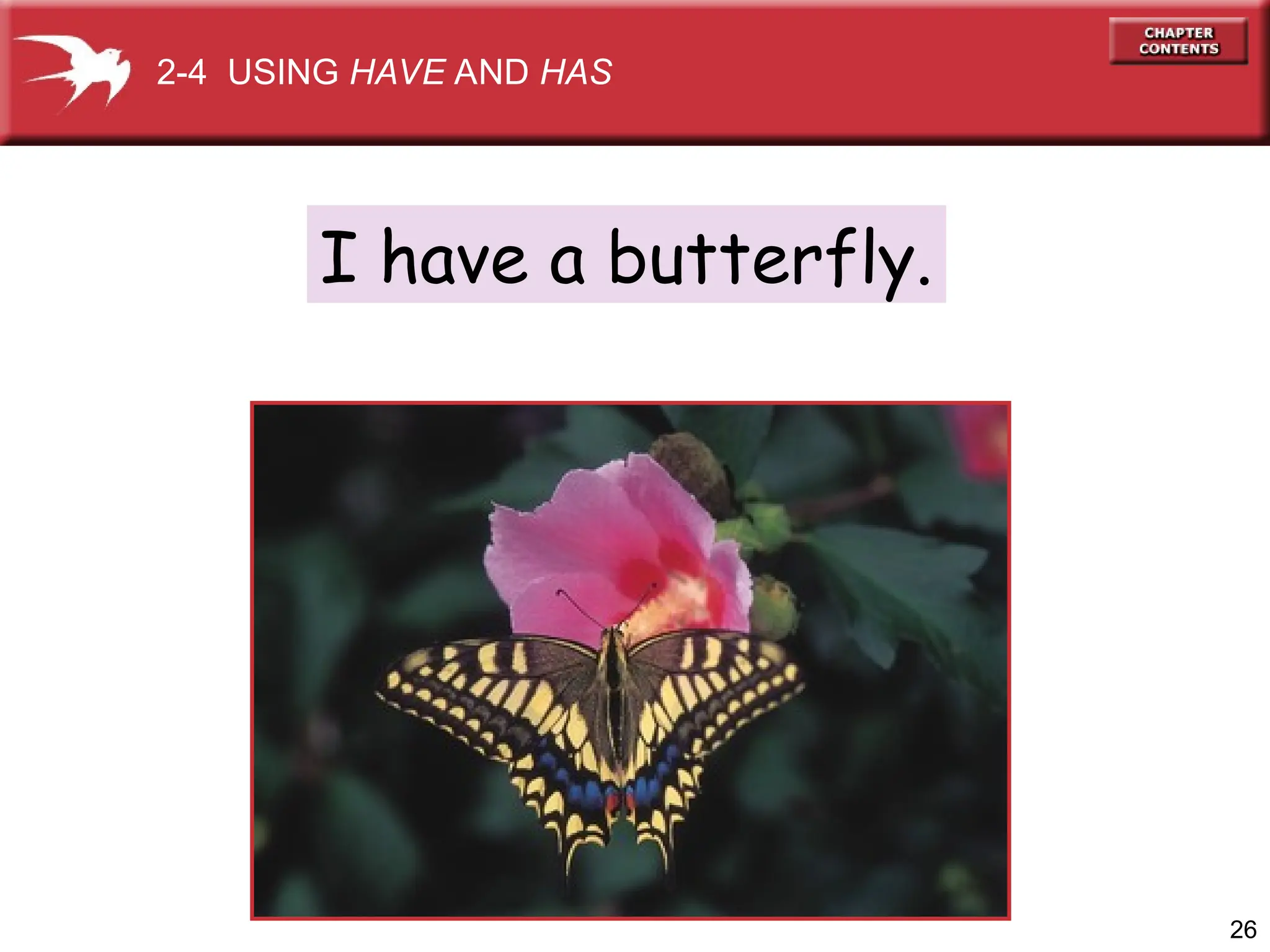 26
I have a butterfly.
2-4 USING HAVE AND HAS
 