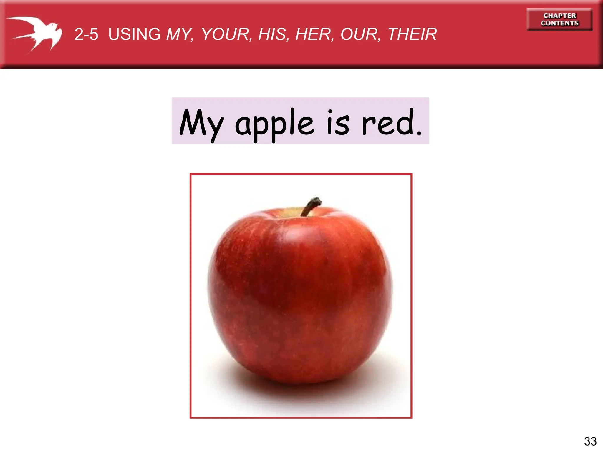 33
My apple is red.
2-5 USING MY, YOUR, HIS, HER, OUR, THEIR
 