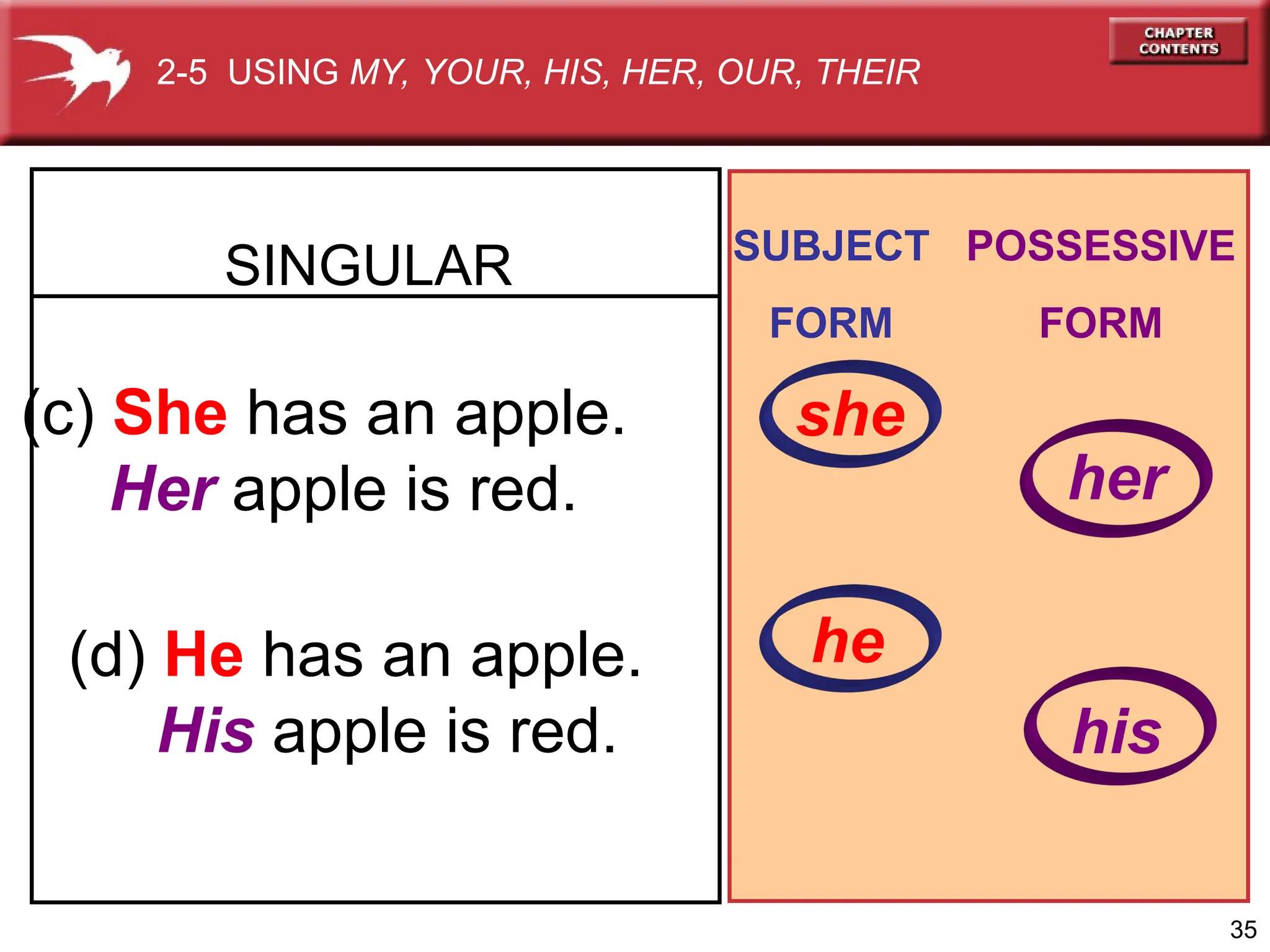 35
(c) She has an apple.
Her apple is red.
(d) He has an apple.
His apple is red.
SINGULAR SUBJECT
FORM
POSSESSIVE
FORM
her
he
his
2-5 USING MY, YOUR, HIS, HER, OUR, THEIR
she
 