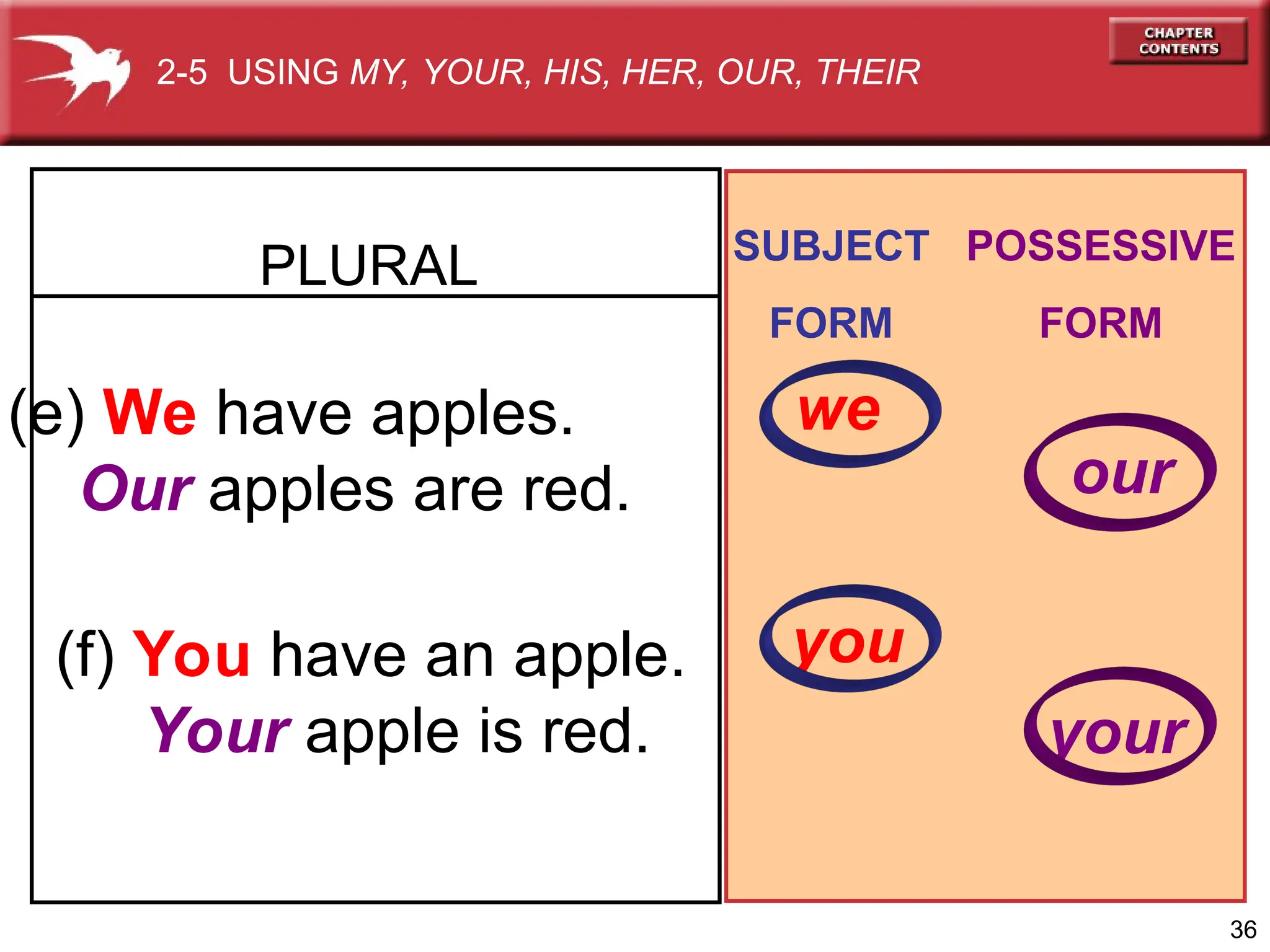 36
(e) We have apples.
Our apples are red.
(f) You have an apple.
Your apple is red.
PLURAL SUBJECT
FORM
POSSESSIVE
FORM
you
your
2-5 USING MY, YOUR, HIS, HER, OUR, THEIR
we
our
 