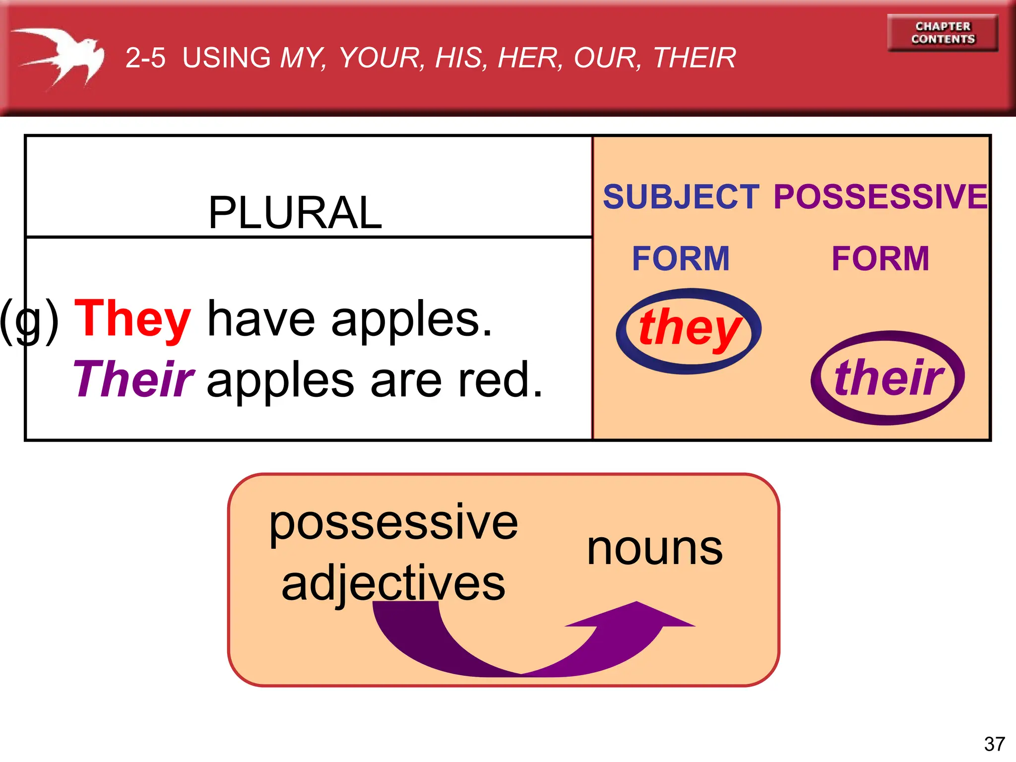 37
(g) They have apples.
Their apples are red.
PLURAL SUBJECT
FORM
POSSESSIVE
FORM
2-5 USING MY, YOUR, HIS, HER, OUR, THEIR
they
their
nouns
possessive
adjectives
 