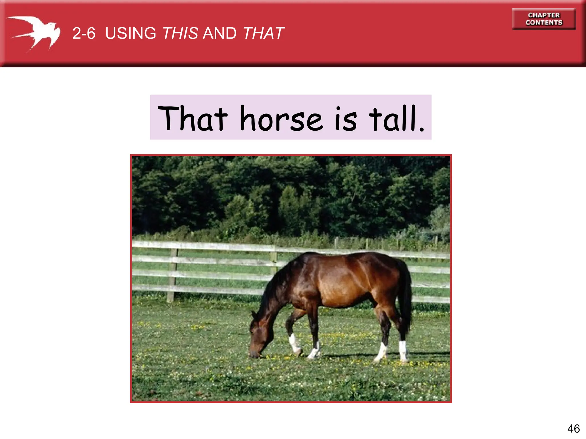 46
That horse is tall.
2-6 USING THIS AND THAT
 