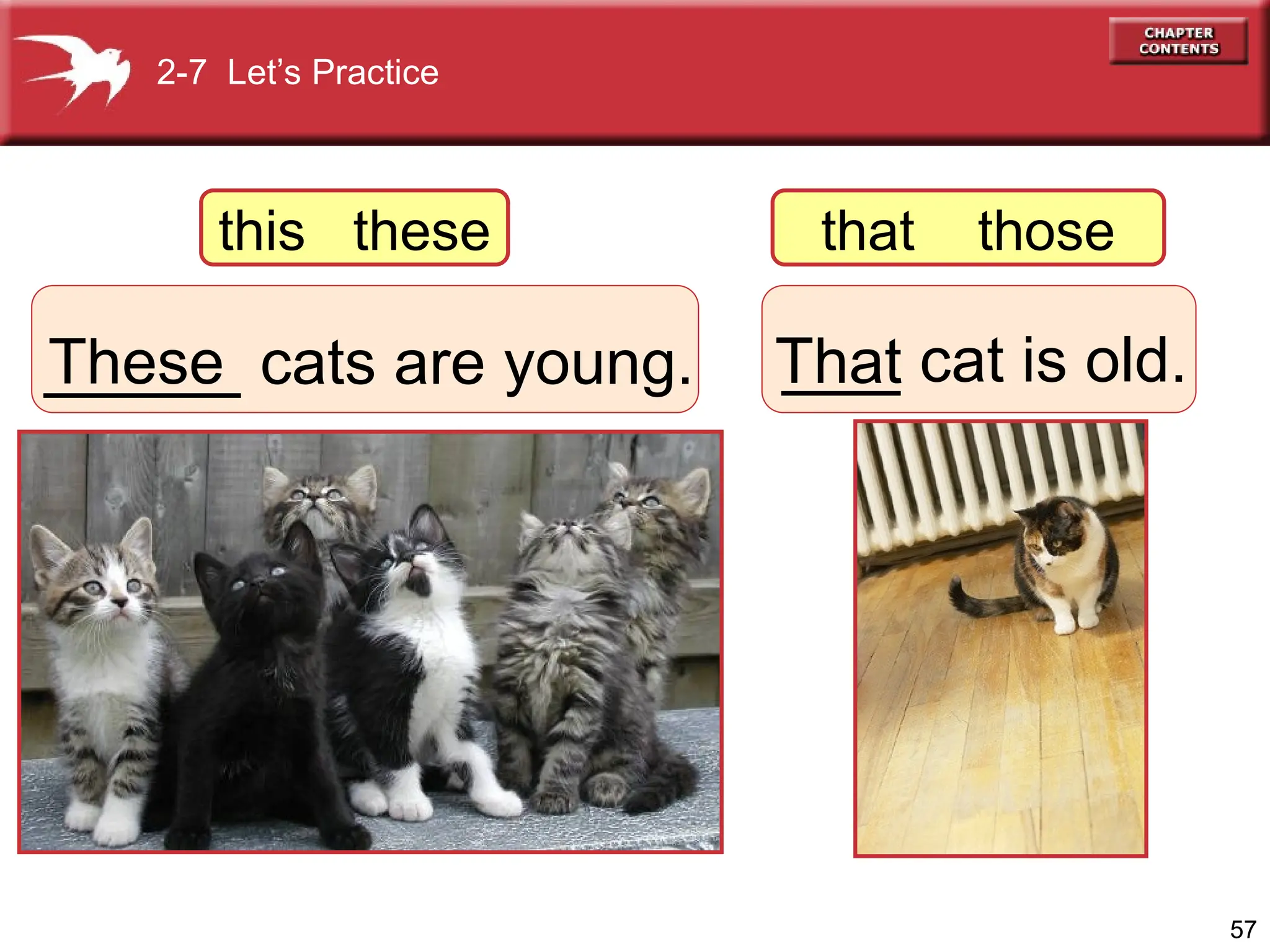 57
_____ cats are young.
These ___ cat is old.
That
2-7 Let’s Practice
this these that those
 
