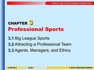 CHAPTER   3 Professional Sports 3.1  Big League Sports 3.2  Attracting a Professional Team 3.3  Agents, Managers, and Ethics CHAPTER 3 SLIDE  