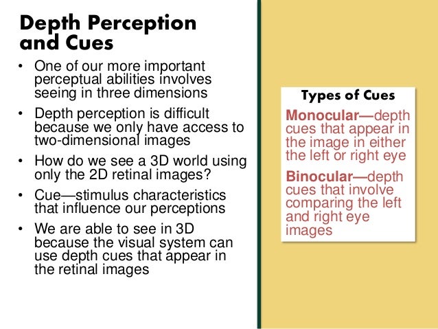 What is perceptual constancy?