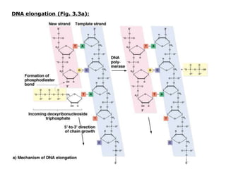 chapter_03_Cell Biology_Lecture on Cell Biology.ppt