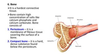 Chapter 03 - Tissues of the human body - Copy.pdf
