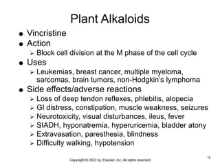18
Plant Alkaloids
 Vincristine
 Action
 Block cell division at the M phase of the cell cycle
 Uses
 Leukemias, breas...