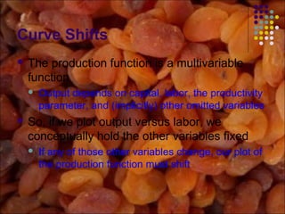 Curve Shifts
 The production function is a multivariable
function
 Output depends on capital, labor, the productivity
parameter, and (implicitly) other omitted variables
 So, if we plot output versus labor, we
conceptually hold the other variables fixed
 If any of those other variables change, our plot of
the production function must shift
 