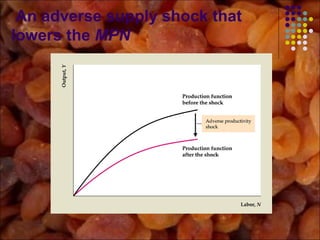 An adverse supply shock that
lowers the MPN
 