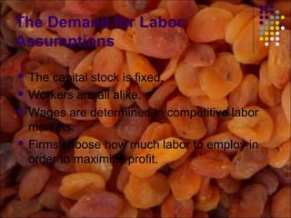The Demand for Labor:
Assumptions
 The capital stock is fixed.
 Workers are all alike.
 Wages are determined in competitive labor
markets.
 Firms choose how much labor to employ in
order to maximize profit.
 