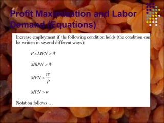 Profit Maximization and Labor
Demand (Equations)
 