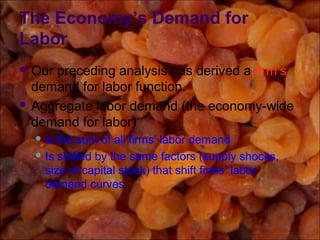 The Economy’s Demand for
Labor
 Our preceding analysis has derived a firm’s
demand for labor function.
 Aggregate labor demand (the economy-wide
demand for labor)
 is the sum of all firms’ labor demand
 Is shifted by the same factors (supply shocks,
size of capital stock) that shift firms’ labor
demand curves
 