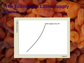 The Economy’s Labor Supply
Curve
 