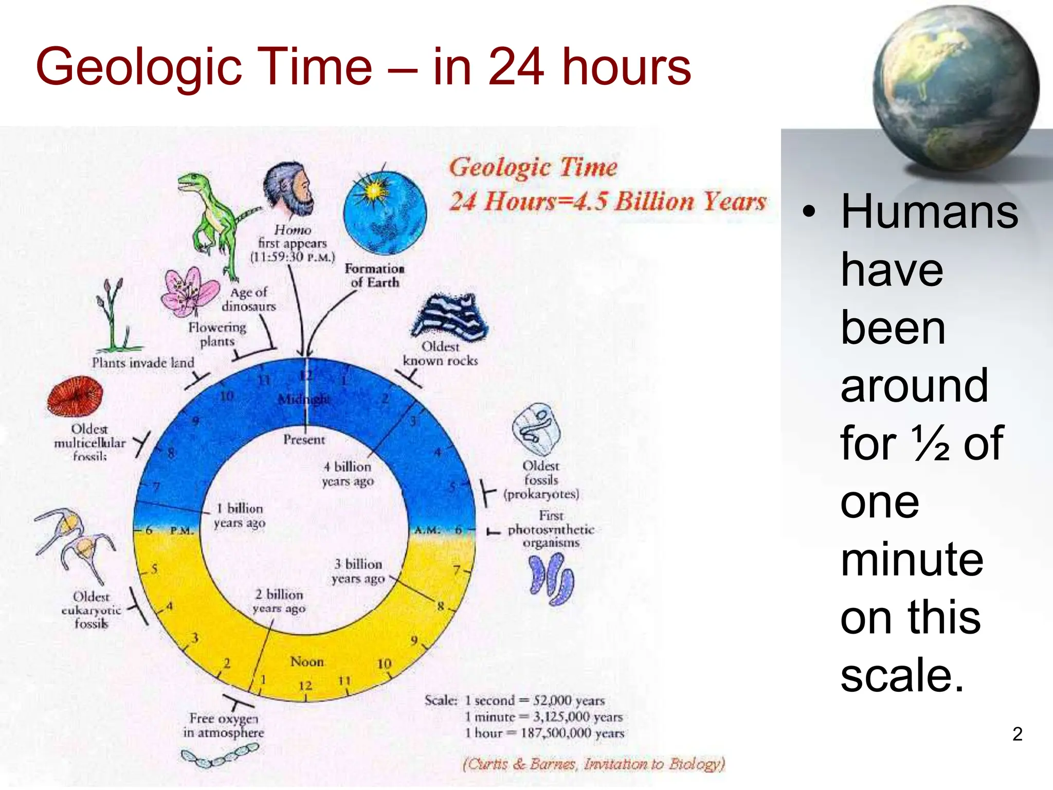 2
Geologic Time – in 24 hours
• Humans
have
been
around
for ½ of
one
minute
on this
scale.
 