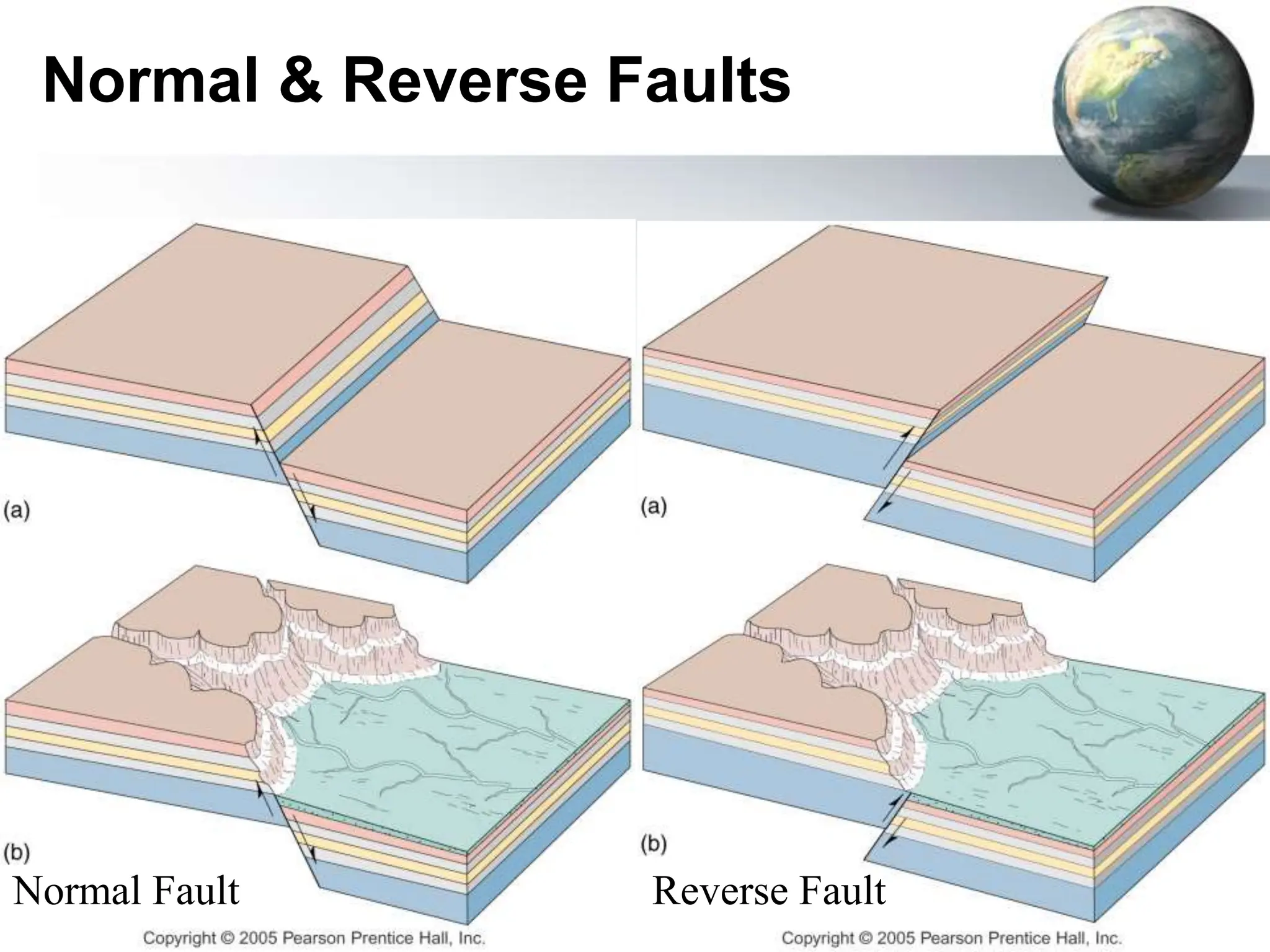Normal Fault Reverse Fault
Normal & Reverse Faults
 