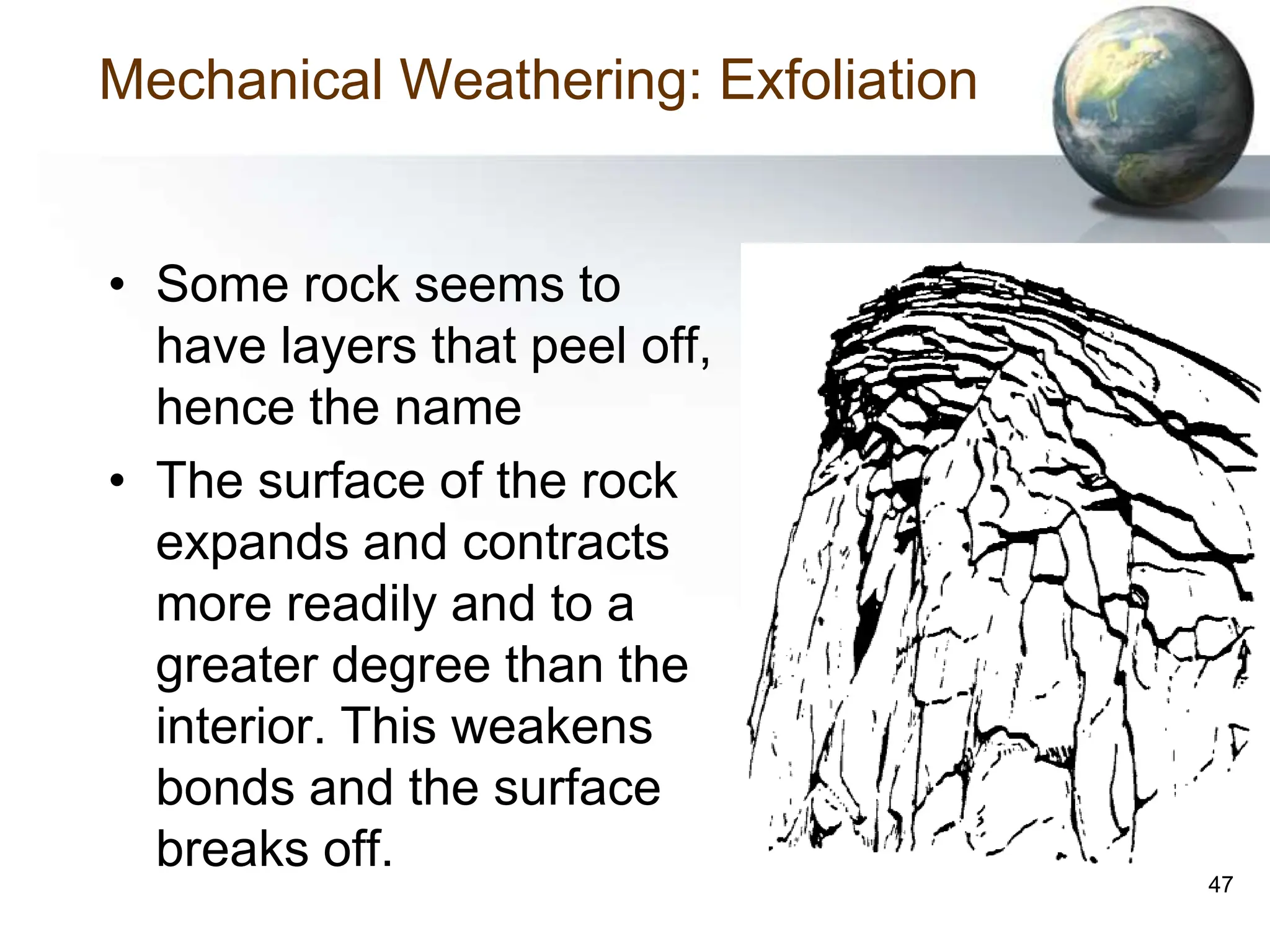 47
Mechanical Weathering: Exfoliation
• Some rock seems to
have layers that peel off,
hence the name
• The surface of the rock
expands and contracts
more readily and to a
greater degree than the
interior. This weakens
bonds and the surface
breaks off.
 