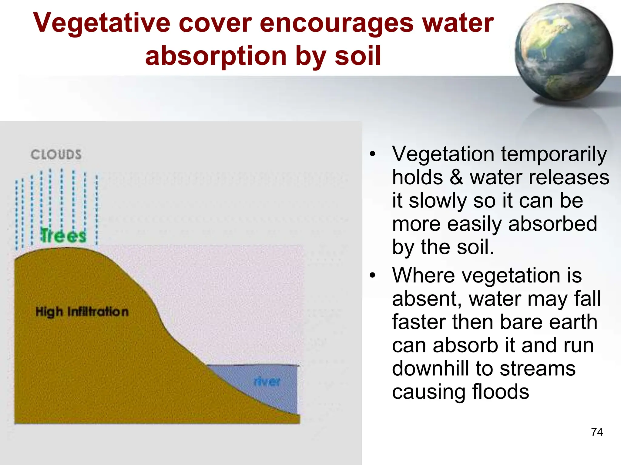 74
Vegetative cover encourages water
absorption by soil
• Vegetation temporarily
holds & water releases
it slowly so it can be
more easily absorbed
by the soil.
• Where vegetation is
absent, water may fall
faster then bare earth
can absorb it and run
downhill to streams
causing floods
 